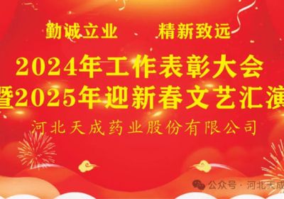 公司2024年工作總結暨2025年迎新春文藝匯演圓滿(mǎn)結束